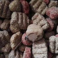 Enterprise Imitation Dog Biscuit Counter Balanced